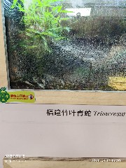 宁波