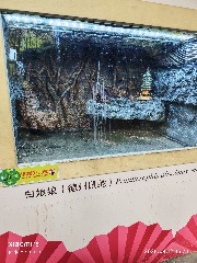 宁波
