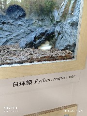 宁波