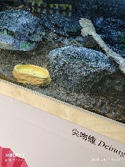 宁波