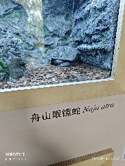 宁波