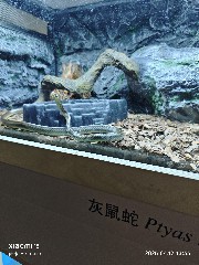 宁波