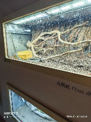 宁波