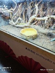 宁波