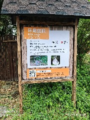 宁波