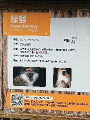 宁波