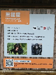 宁波