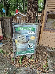 宁波