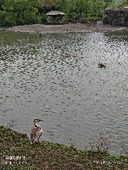 宁波