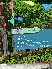 宁波