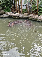 宁波