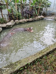 宁波