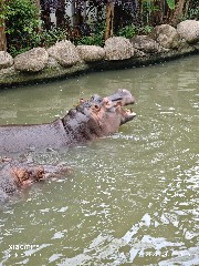 宁波