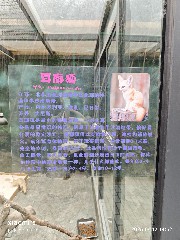 宁波