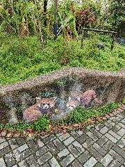 宁波