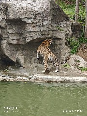 宁波