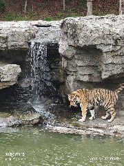 宁波