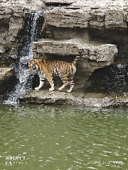 宁波