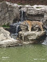 宁波