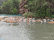 宁波