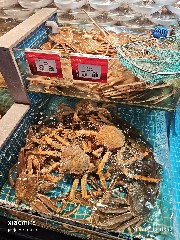 宁波