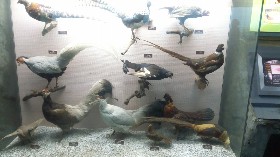 上海