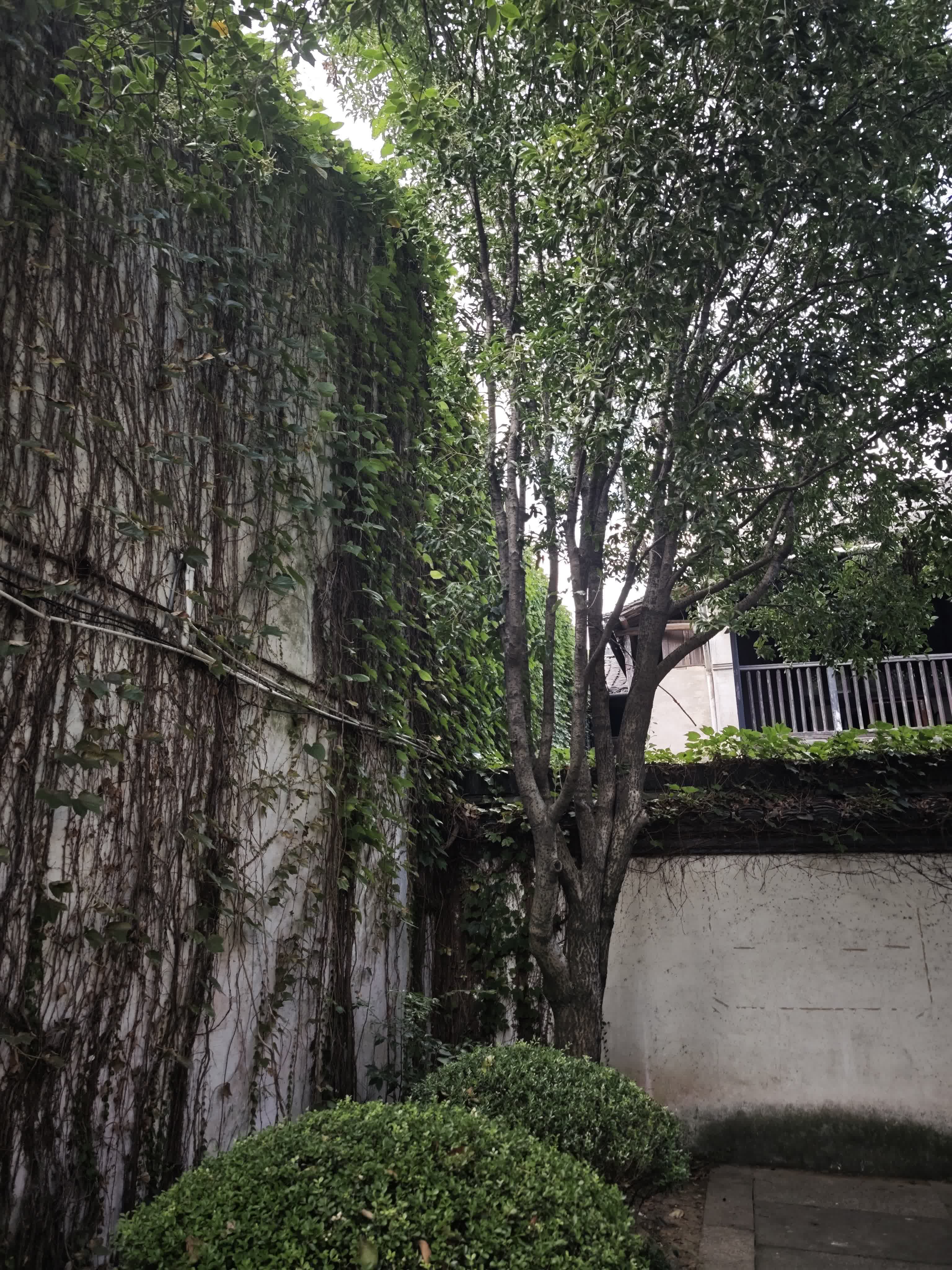 绍兴