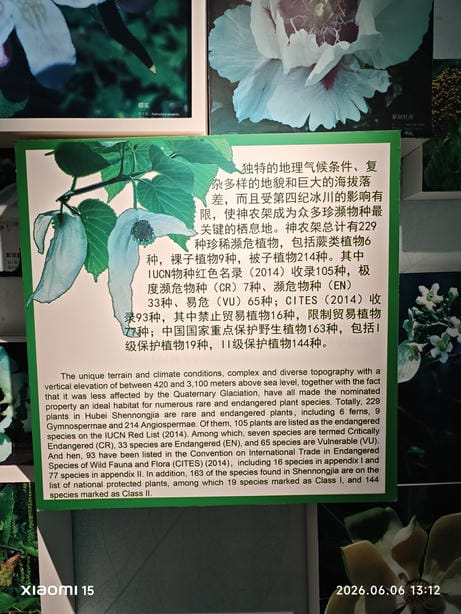 神农架