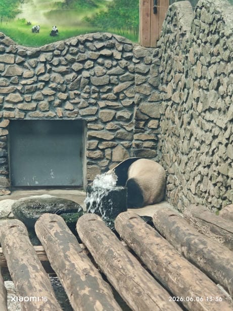 神农架