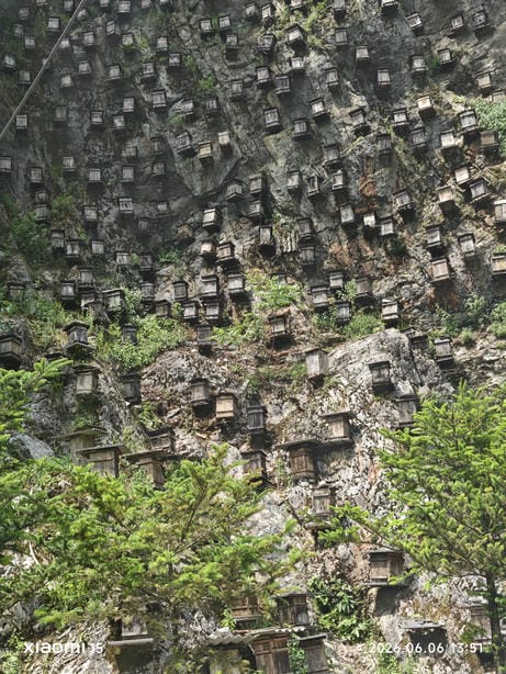 神农架