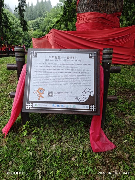 神农架