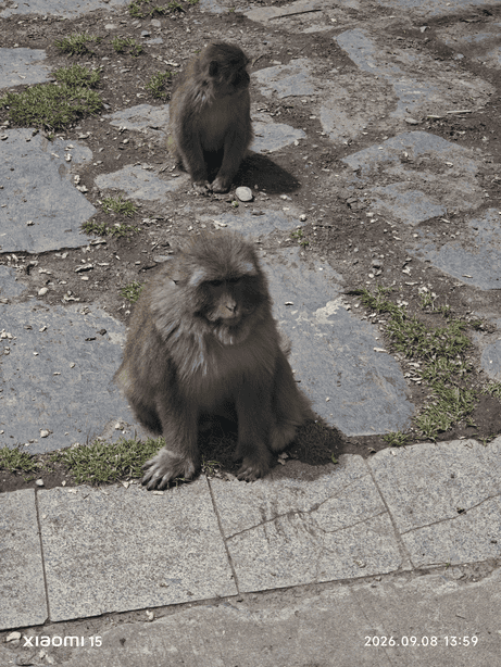 西藏大环线