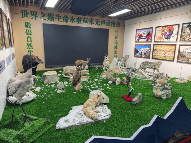 西藏大环线