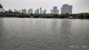 枣庄