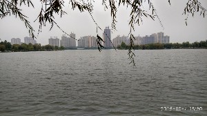 枣庄