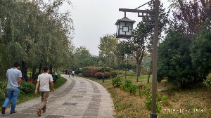 枣庄