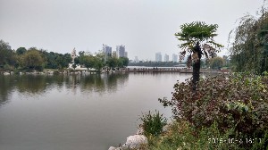 枣庄