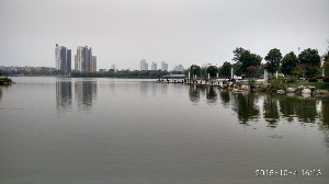 枣庄