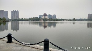 枣庄