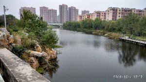 枣庄